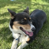 Entry image for Blue Jeans