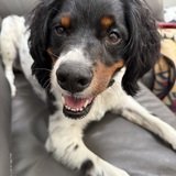 Entry image for Benny