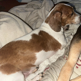 Entry image for Bently 