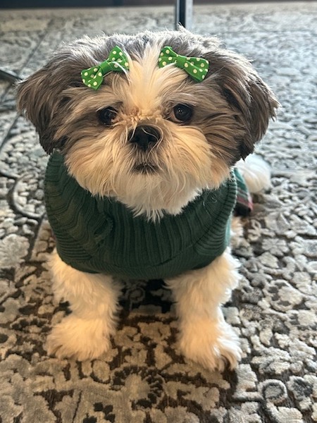 Entry image for Ruby . Clicking this image will show a larger photo