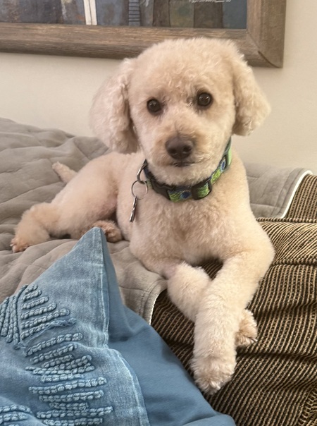 Entry image for Tucker. Clicking this image will show a larger photo