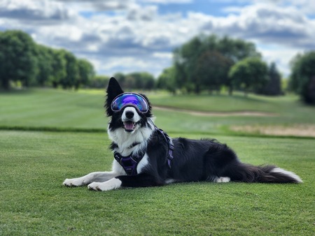 Entry image for Nyxi. Clicking this image will show a larger photo