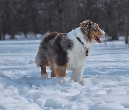 Entry image for Colby. Clicking this image will show a larger photo