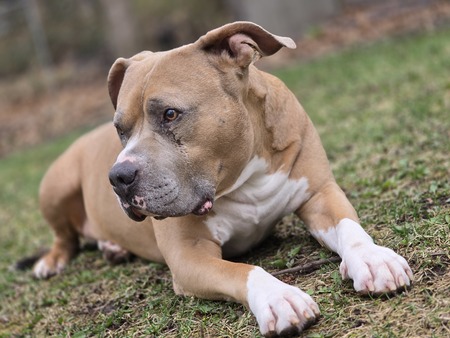 Entry image for Juice. Clicking this image will show a larger photo