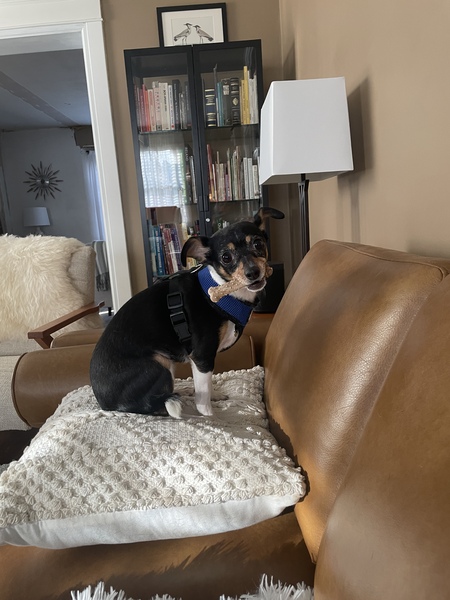 Entry image for Karley Q. Clicking this image will show a larger photo