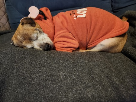 Entry image for Abe. Clicking this image will show a larger photo