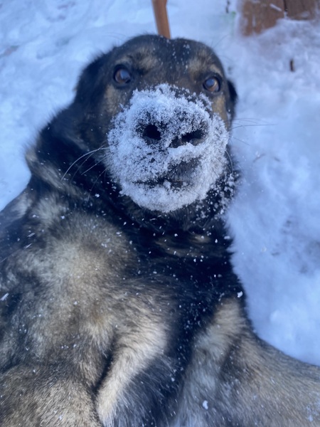 Entry image for Jake. Clicking this image will show a larger photo