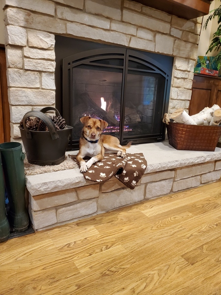 Entry image for Pancho. Clicking this image will show a larger photo