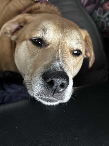 Entry image for Isla. Clicking this image will show a larger photo