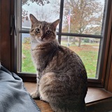 Entry image for Ella