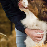 Entry image for Cyder