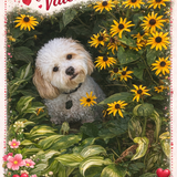 Entry image for Auggie