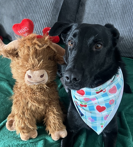 Entry image for Mac. Clicking this image will show a larger photo