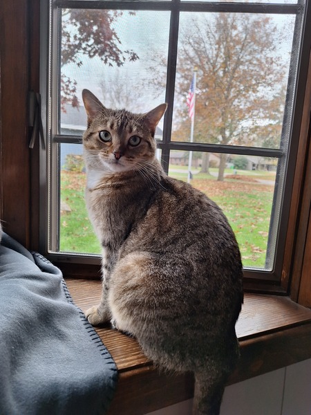 Entry image for Ella. Clicking this image will show a larger photo