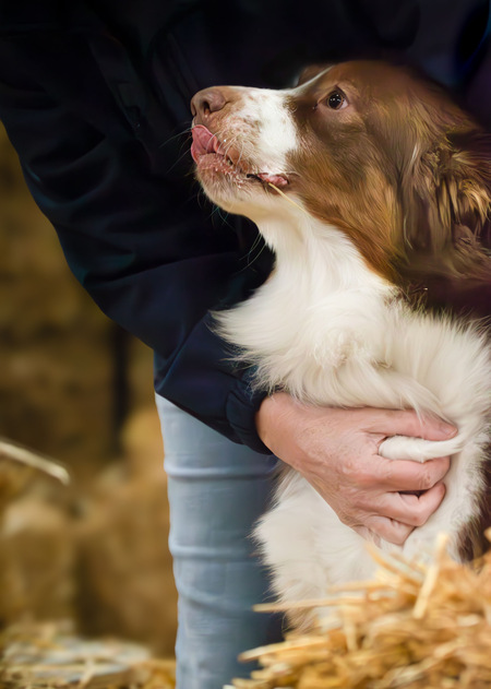 Entry image for Cyder. Clicking this image will show a larger photo