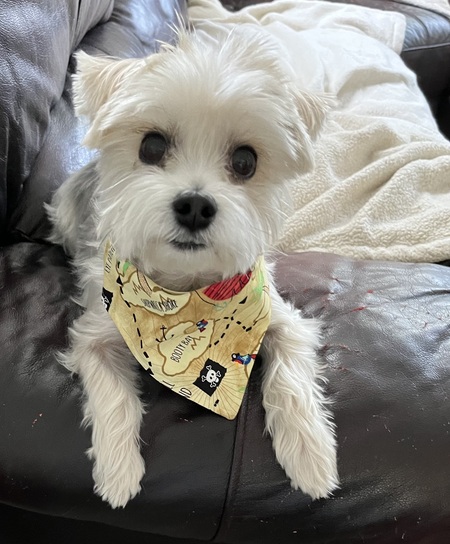 Entry image for Bob. Clicking this image will show a larger photo