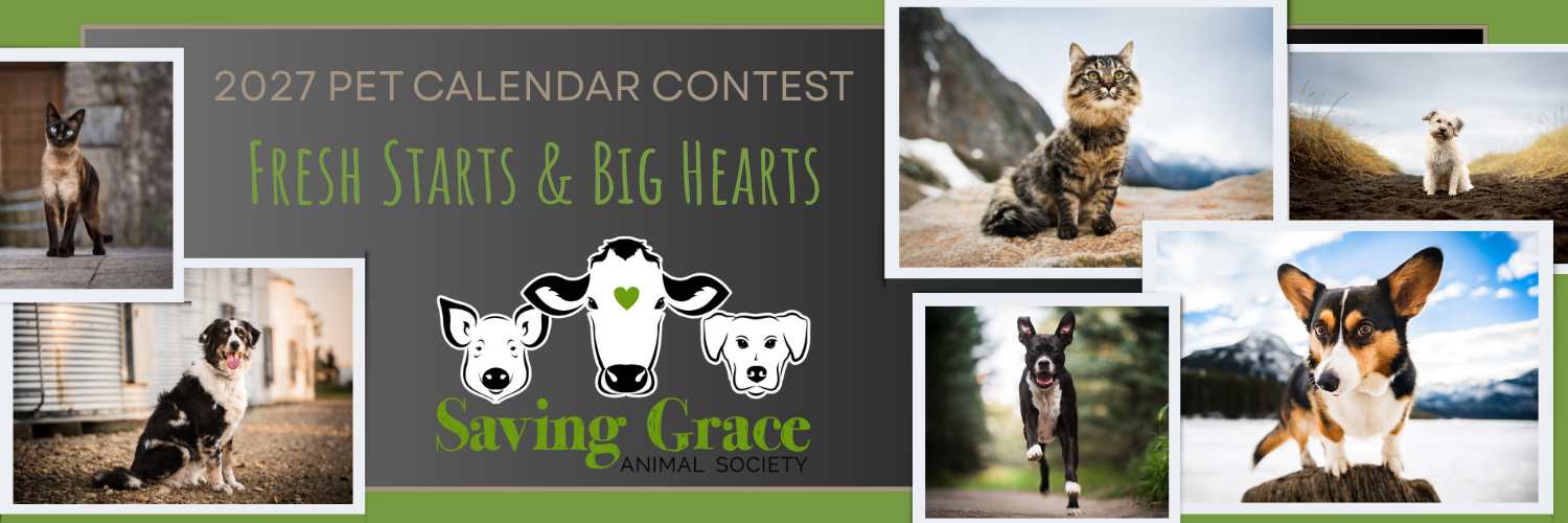 Banner for Fresh Starts & Big Hearts