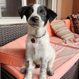 Entry image for Alfonse