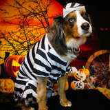 Entry image for Funyinn