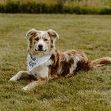 Entry image for Finnegan