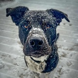 Entry image for Parker 