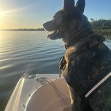 Entry image for Ranger