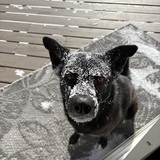 Entry image for Kenzie