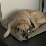 Entry image for Mars