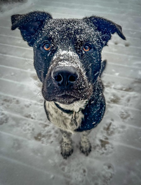 Entry image for Parker . Clicking this image will show a larger photo