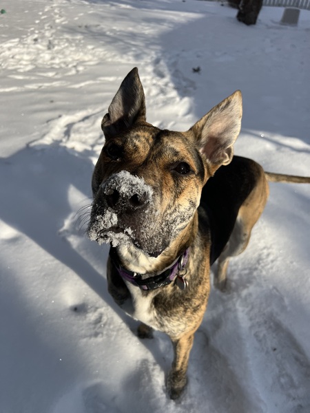 Entry image for Remi. Clicking this image will show a larger photo