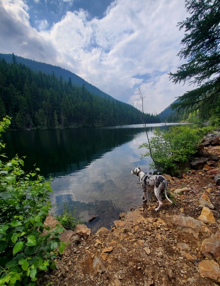 Entry image for Bindi Sue. Clicking this image will show a larger photo