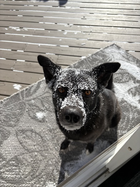 Entry image for Kenzie. Clicking this image will show a larger photo