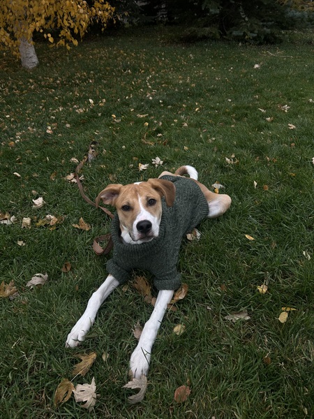 Entry image for Briggs. Clicking this image will show a larger photo