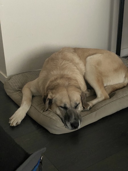 Entry image for Mars. Clicking this image will show a larger photo