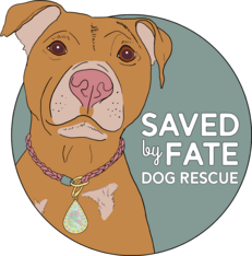Logo for 2027 Saved By Fate Photo & Calendar Contest