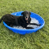 Entry image for Tucker