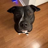 Entry image for Tuck (fka Lucas Till)