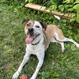 Entry image for Rudy