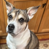 Entry image for MILEY MARIE