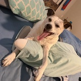 Entry image for Maddie