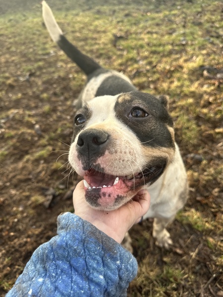 Entry image for Anya. Clicking this image will show a larger photo