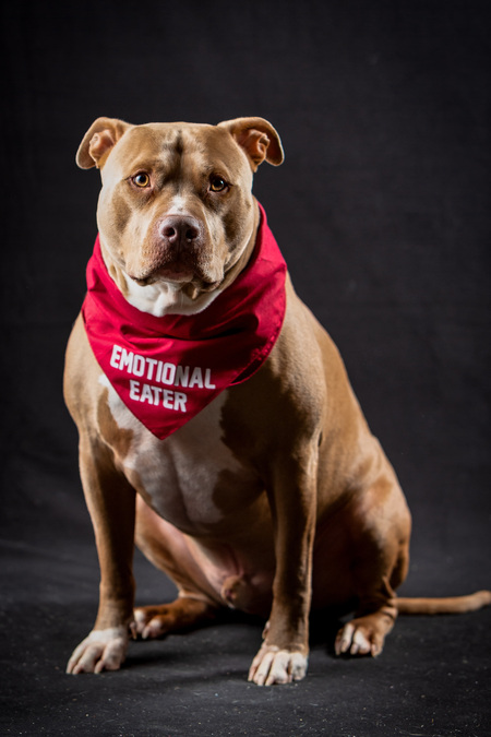 Entry image for Dominic. Clicking this image will show a larger photo