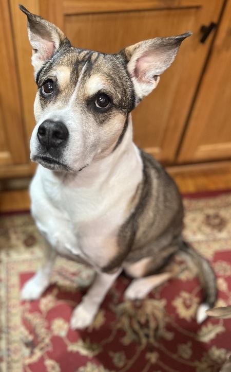 Entry image for MILEY MARIE. Clicking this image will show a larger photo