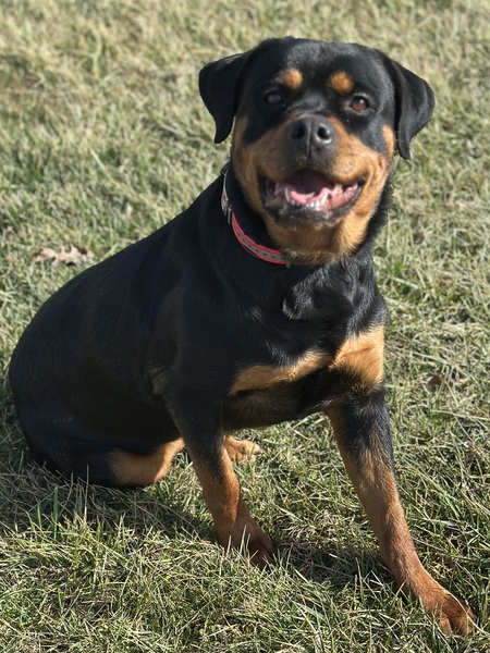 Entry image for Ruthie. Clicking this image will show a larger photo