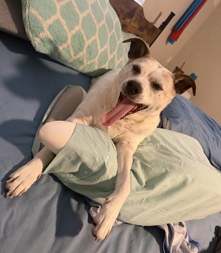 Entry image for Maddie. Clicking this image will show a larger photo