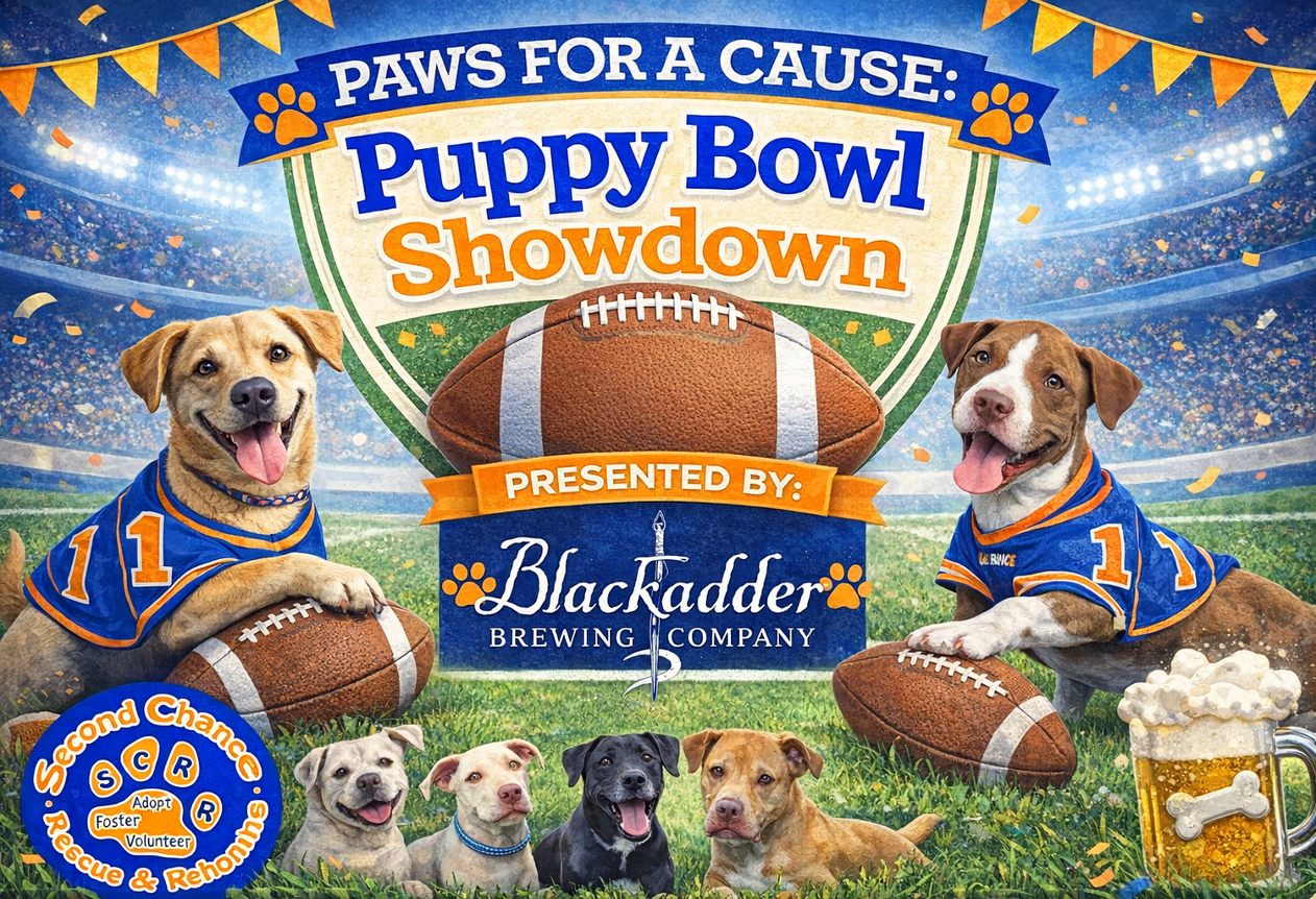 Banner for Paws for a Cause: Puppy Bowl Fundraiser