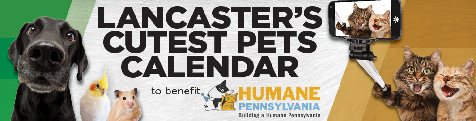 Banner for Lancaster’s Cutest Pets Calendar Contest