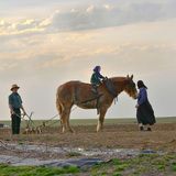 Entry image for Young family doing early Spring plowing. Shot off of Gap Rd. in Ronks, PA