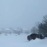 Entry image for Snowy morning - January 25, 2026