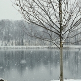 Entry image for Winter snow over the pond at Ephrata Township Community Park.